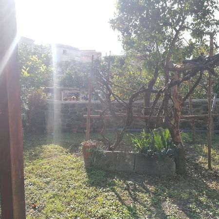 Dimora Coloniale B&B Forio di Ischia 외부 사진