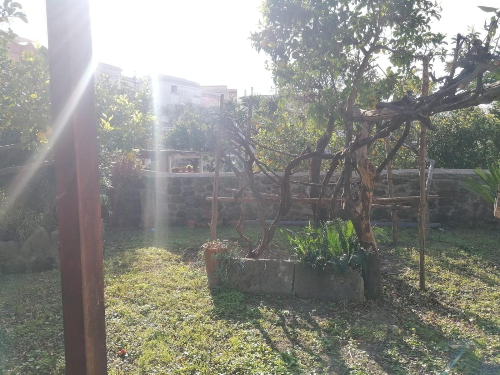 Dimora Coloniale B&B Forio di Ischia 외부 사진