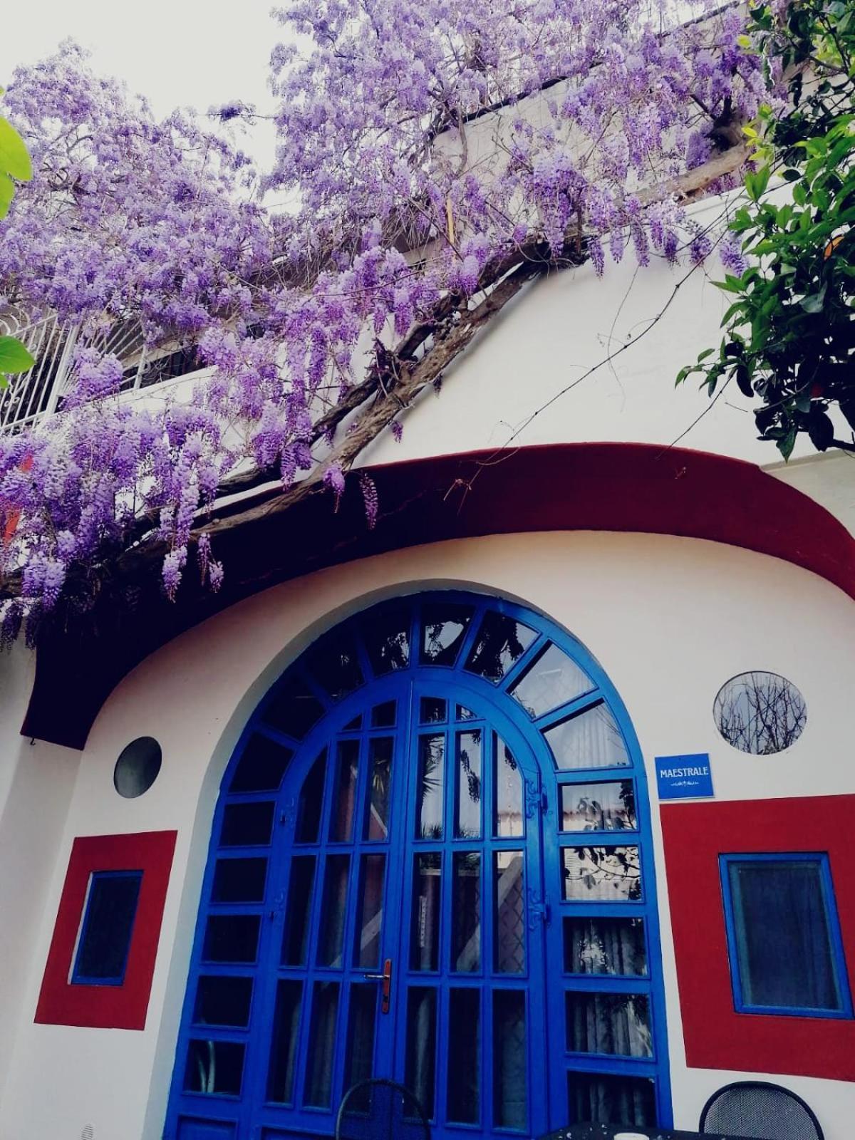 Dimora Coloniale B&B Forio di Ischia 외부 사진
